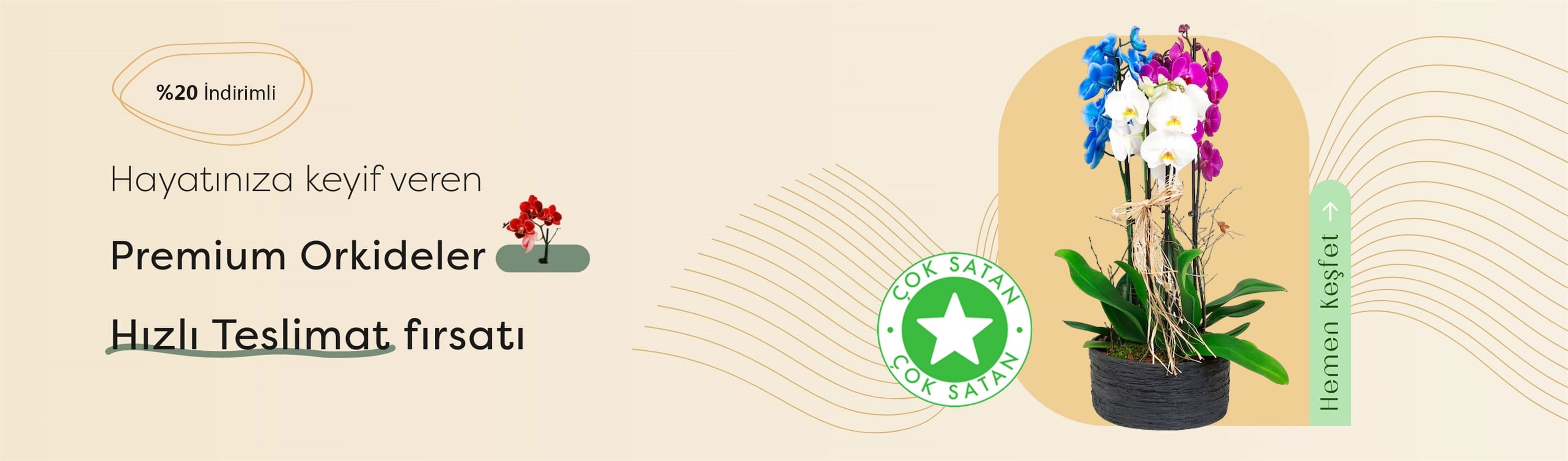 Yüksekova Çiçek | Yüksekova Çiçekçi, Aynı Gün Çiçek Teslimatı